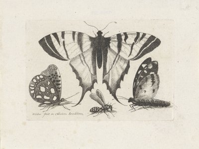Fjärilar och en geting Insekter (serietitel) Muscarum Scarabeorum (serietitel) av Wenceslaus Hollar