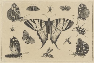 Fjärilar, getingar och andra insekter Olika insekter (serietitel) Diversae Insectorum (serietitel) av Wenceslaus Hollar