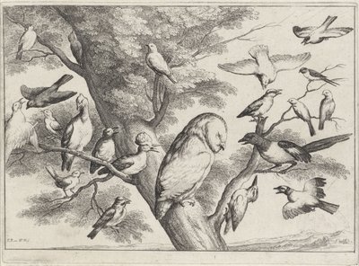 Fåglar i ett träd Olika fåglar (serietitel) av Wenceslaus Hollar