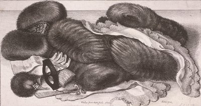 Vinterplagg för en kvinna, inklusive muffar, handskar och näsdukar, 1647 av Wenceslaus Hollar