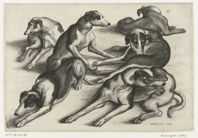 Sex liggande jakthundar Jakt, jakthundar och vilt (serietitel) av Wenceslaus Hollar