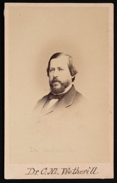 Porträtt av Dr Charles Mayer Wetherill 1825-1871, 1864. av Wenderoth and Taylor