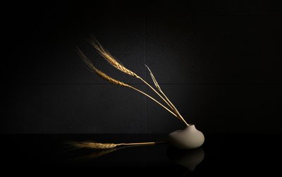  av Wendy Xu