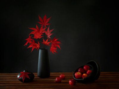  av Wendy Xu