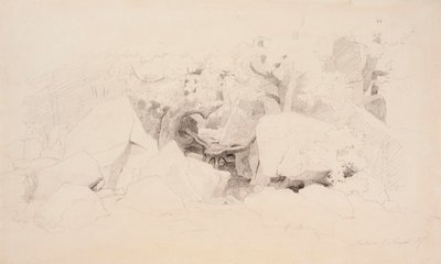 Stenflis i skogen av Werner Holmberg
