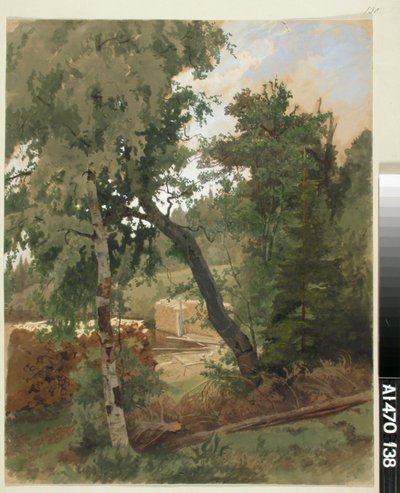Landskap från Leppälahti av Werner Holmberg