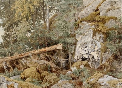 Mossbelupen sten i skogen av Werner Holmberg