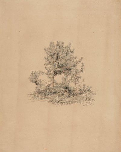 Utan titel av Werner Holmberg