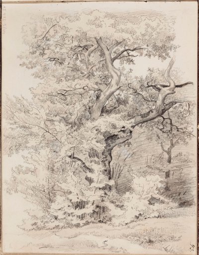 Utan titel av Werner Holmberg