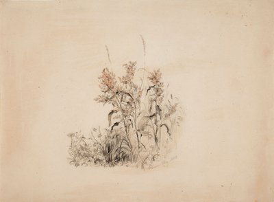 Utan titel av Werner Holmberg