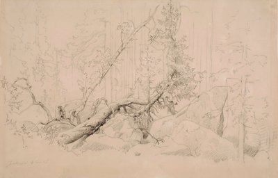 Utan titel av Werner Holmberg