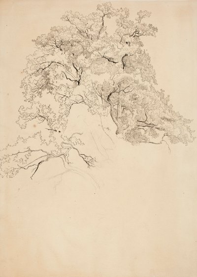 Utan titel av Werner Holmberg