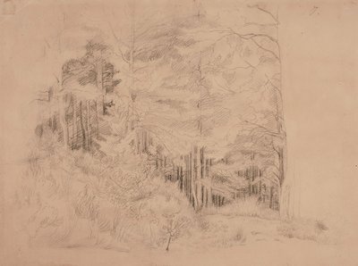 Utan titel av Werner Holmberg