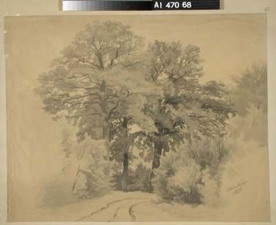 Utan titel av Werner Holmberg