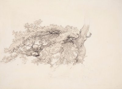 Utan titel av Werner Holmberg