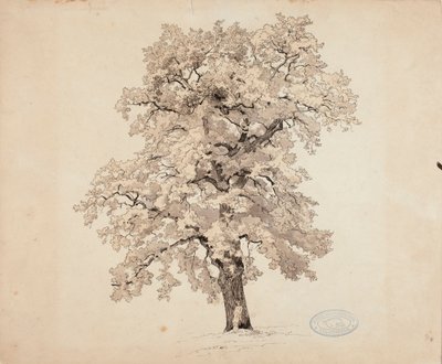 Utan titel av Werner Holmberg