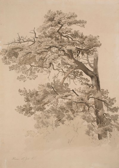 Utan titel av Werner Holmberg