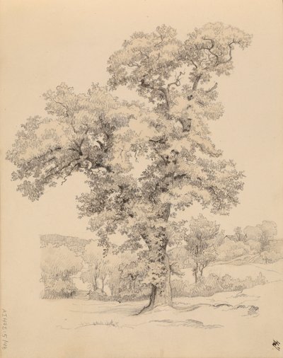Utan titel av Werner Holmberg