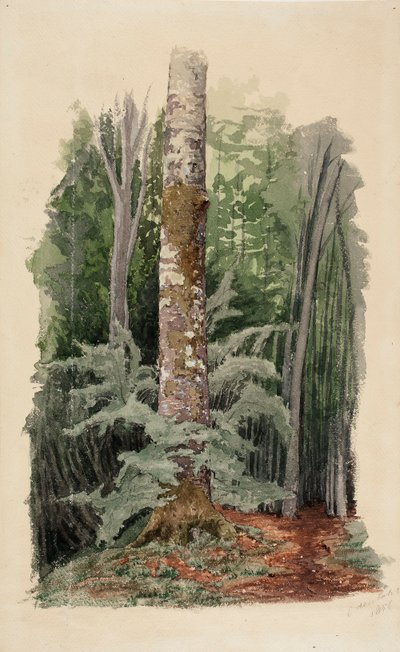 Utan titel av Werner Holmberg
