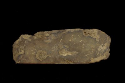 Fragment av ett ceremoniellt vapen (jade (nefrit)) av Western Zhou Dynasty Chinese School