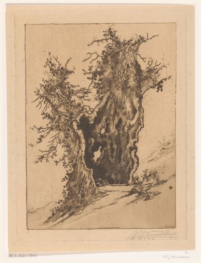 Ihåligt träd på Seelisberg i Schweiz Hollow Tree (originaltitel) av Wijnand Otto Jan Nieuwenkamp (signed by artist)