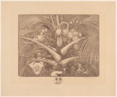 Toppen av ett kokosnötträd Tropenweelde (originaltitel på objekt) av Wijnand Otto Jan Nieuwenkamp (signed by artist)