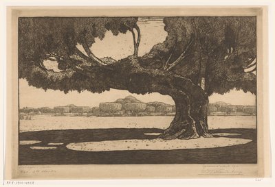 Waringin träd i trädgården av sultanens palats i Jogyakarta Det stora trädet (originaltitel) av Wijnand Otto Jan Nieuwenkamp (signed by artist)