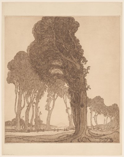 En del av huvudvägen vid dessa Cakranegara (Tjakranegara) på Lombok The Great Road (originaltitel) av Wijnand Otto Jan Nieuwenkamp