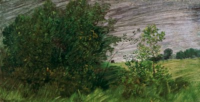 landskap av Wilhelm Busch