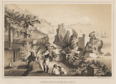 Funchal, Madeira, från Corral, 1885 av Wilhelm Joseph Heine