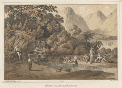Kanaka Village Bonin Islands, 1855 av Wilhelm Joseph Heine