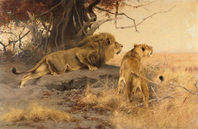 Ett lejon och en lejoninna i Savannah av Wilhelm Kuhnert