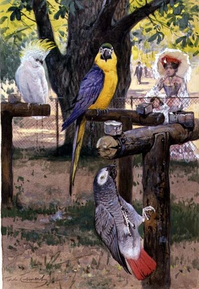 På zoo av Wilhelm Kuhnert