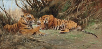 Tigers at Dawn, 1913 av Wilhelm Kuhnert