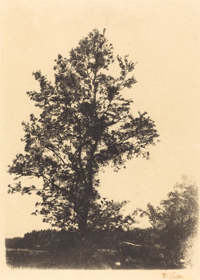 Det stora trädet av Wilhelm Maria Hubertus Leibl