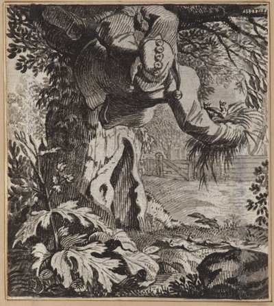 Den djärva dåren av Wilhelm Stettler