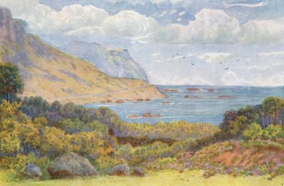 På Victoria Road, nära Oude Kraal (färglitografi) av Wilhelm Westhofen