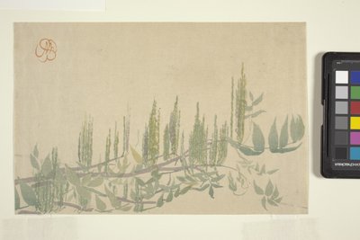 Wisteria, ca 1908 (trätryck i färg) av Wilhelmina Seegmiller