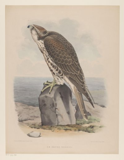 Valk Le sacre hagard (titel på objekt) av Willem Bastiaan van Wouw