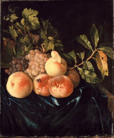 Stilleben av persikor och druvor, 1705 av Willem Frederiksz van Royen