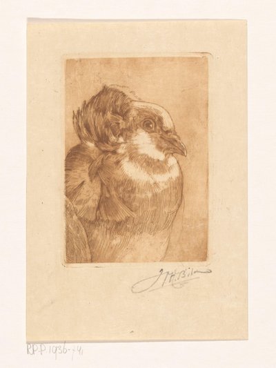 Studie av en duva av Willem Hendrik Bik (signed by artist)