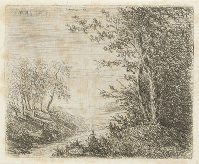 Kuperat landskap med bäck av Willem Matthias Jan van Dielen