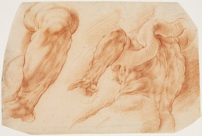 Laocoon. Studier av Laocoons vänstra arm och baksidan av hans bål sett från vänster och underifrån av Willem Panneels