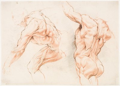Två anatomiska studier av en man som lutar åt vänster och en annan sedd bakifrån med höjd arm (écorché) av Willem Panneels