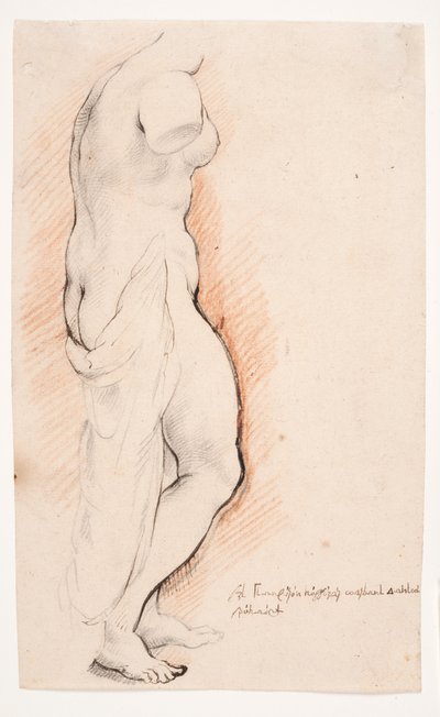 Venus. Antik staty sedd från höger av Willem Panneels