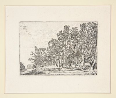 Två plankhäckar, Tallrik 6 från The Set of the Landscapes av Willem Pietersz. Buytewech
