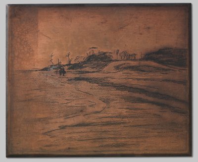 Valkeveen på Zuiderzee av Willem Arnoldus Witsen