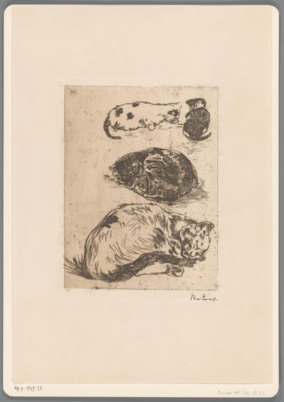 Studie av katter (originaltitel) av Willem de Zwart (signed by artist)