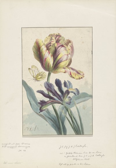 Tulpan och iris av Willem van Leen