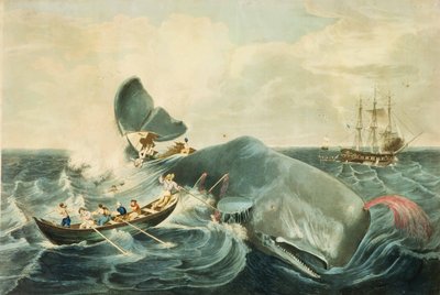 Capturing a Sperm Whale, graverad av J. Hill, publicerad 1835 (färgakvatint) av William (after) Page
